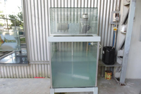 Vidros Temperados, Santana